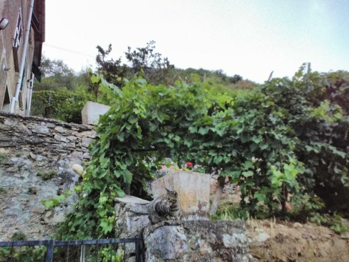 Casa Quaratica Appartement Riccò del Golfo di Spezia Buitenkant foto